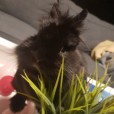 XxOliwiaiSpikexX