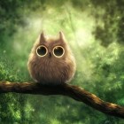 SowaEmilka