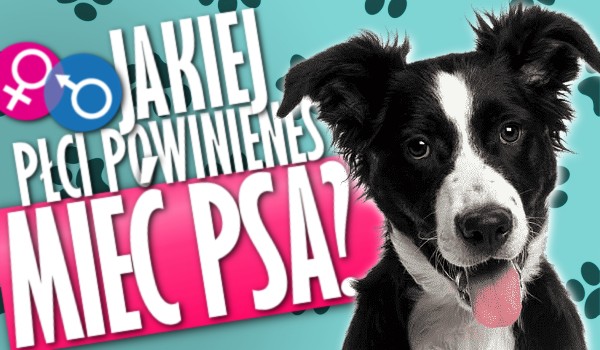 Jakiej płci powinieneś mieć psa?