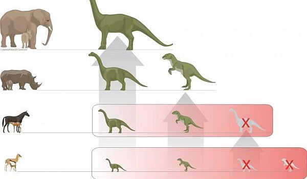 jak dobrze znasz dinozaury ?
