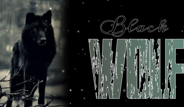 Black Wolf #3