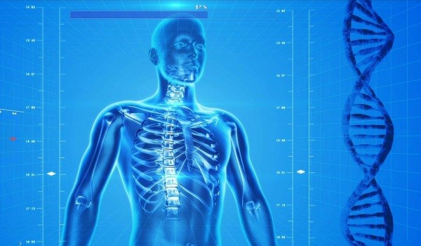 Anatomia człowieka – test