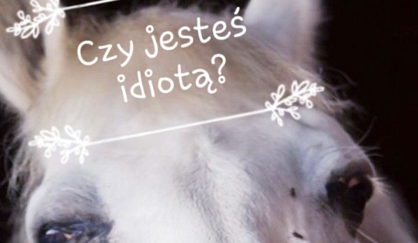 Czy jesteś idiotą?