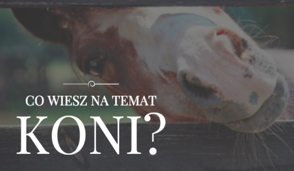 Co wiesz na temat koni?