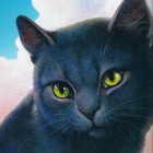 Fanklub-KociaTitkaPL