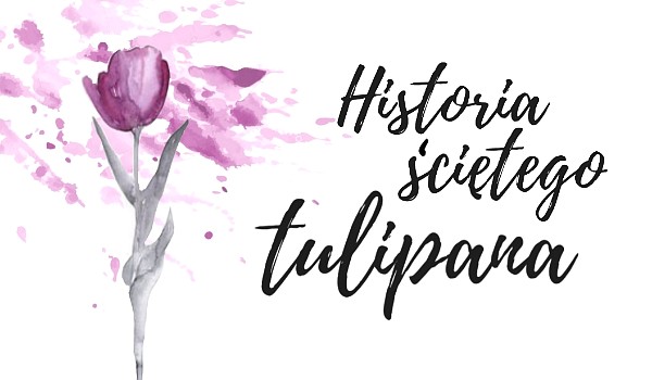 Historia ściętego tulipana • 1