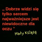 Luna_Harcerka_z_Polski