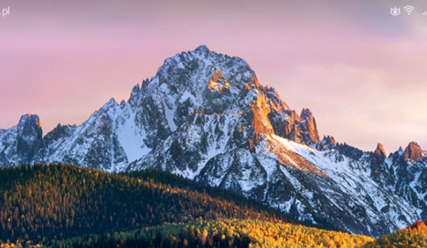 Czy przetrwasz rundę fortnite