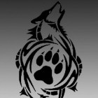 Shadowwolf_123XD