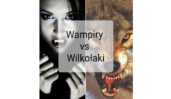 Wampiry vs Wilkołaki #2