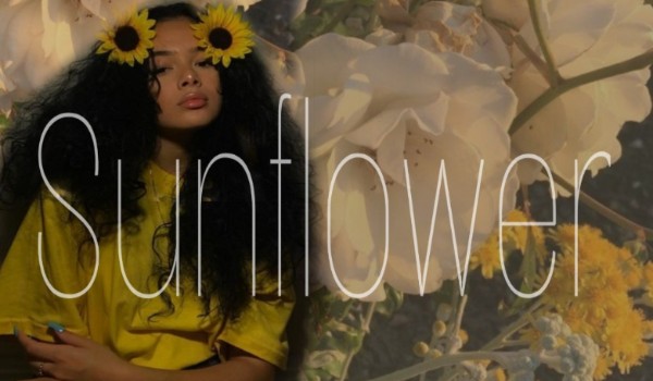 Sunflower-Zakończenie