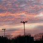 TOSTER..