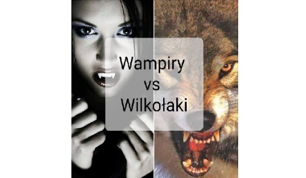 Wampiry vs Wilkołaki #3