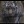 Claudia_Morgenstern