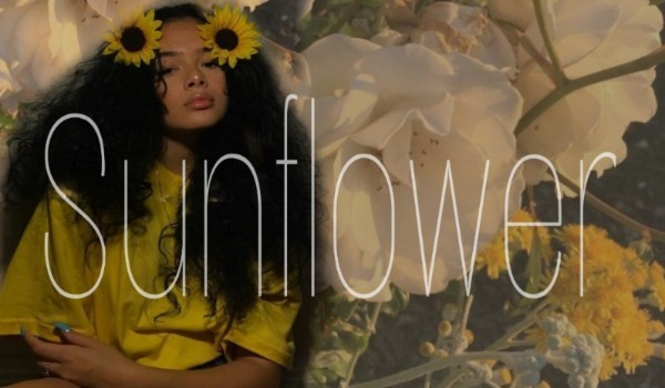 Sunflower-Początek