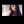Sandrix__360