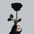 _BlackQueen_