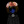 Nadi_creepepasta_fan