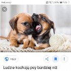 patrykxx