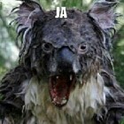 placekjacek