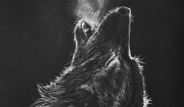 Czarny wilk #4