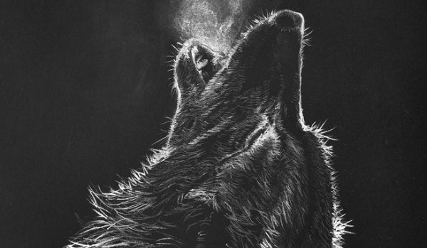 Czarny wilk #3