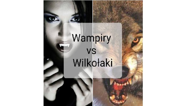 Wampiry vs Wilkołaki #6