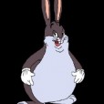 Pulpus