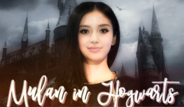 Mulan in Hogwarts — Dodatek