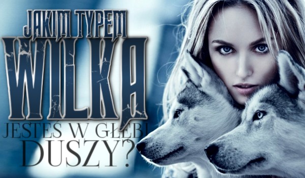 Jakim typem wilka jesteś w głębi duszy?