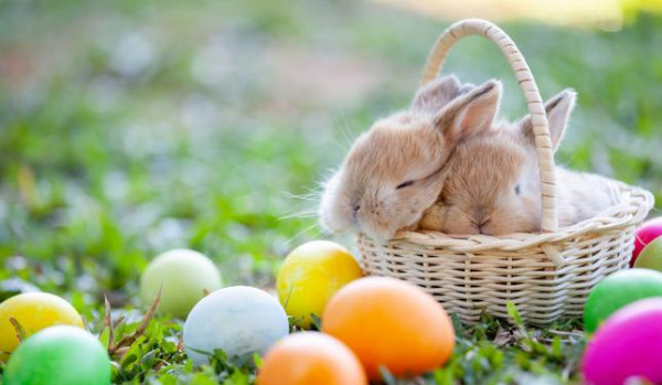 Ile znajdziesz jajek w Wielkanoc?