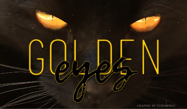 Golden eyes ~ Rozdział II