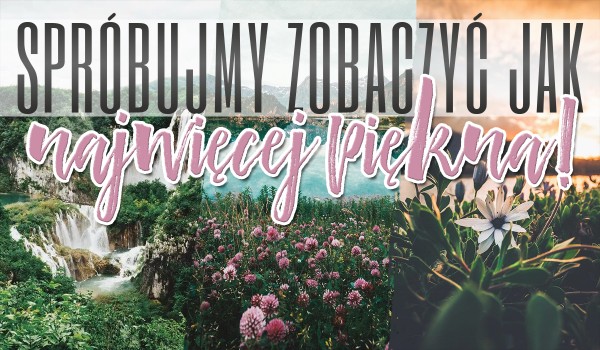 Kreator: Spróbujmy zobaczyć, jak najwięcej piękna!