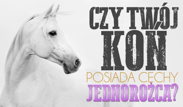 Czy Twój koń posiada cechy jednorożca?