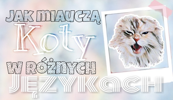 Miniaturka dla @Zwierzakowa