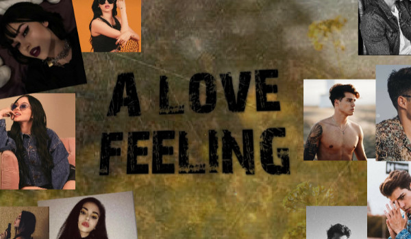 A Love Feeling #7