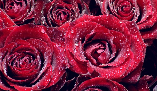 odgadnij mnie na msp