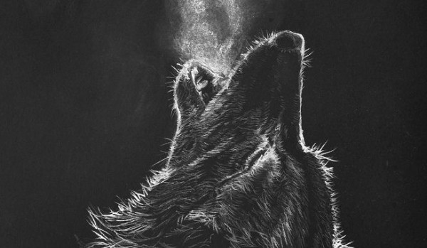 Czarny wilk #5