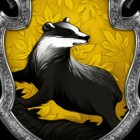 dziewczyna.z.Hufflepuffu