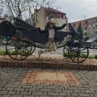 Paulina_Cwynar