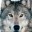 Wolf_YT