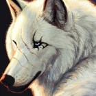 KingWolfPL