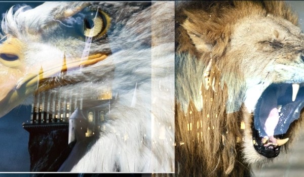 Gryf w ciele orła#1