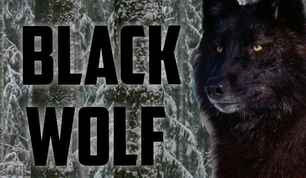 Black Wolf #1