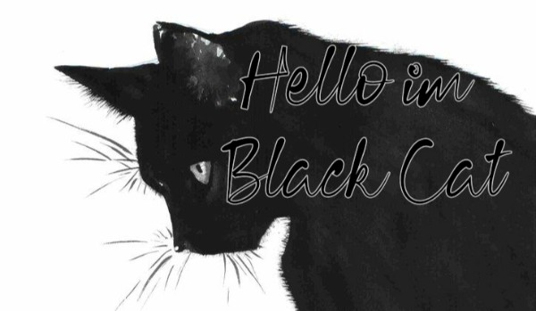 Hello im Black Cat…Moutains