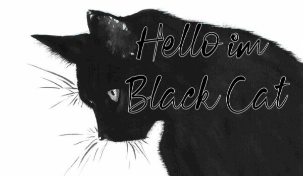 Hello im Black Cat… Konkurs!