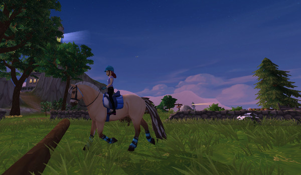 czy jesteś bugowcem sso?