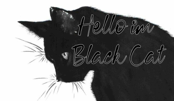Hello im Black Cat… Shadows