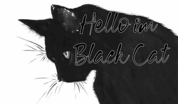 Hello im Black Cat… The End