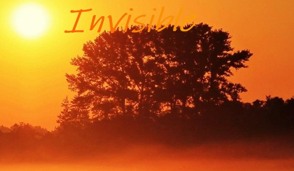 Invisible #2